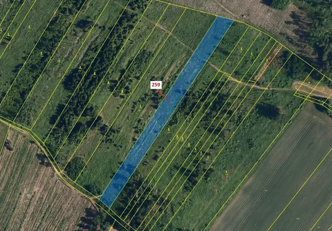 Dražba lesa, Vícenice, 6645 m2