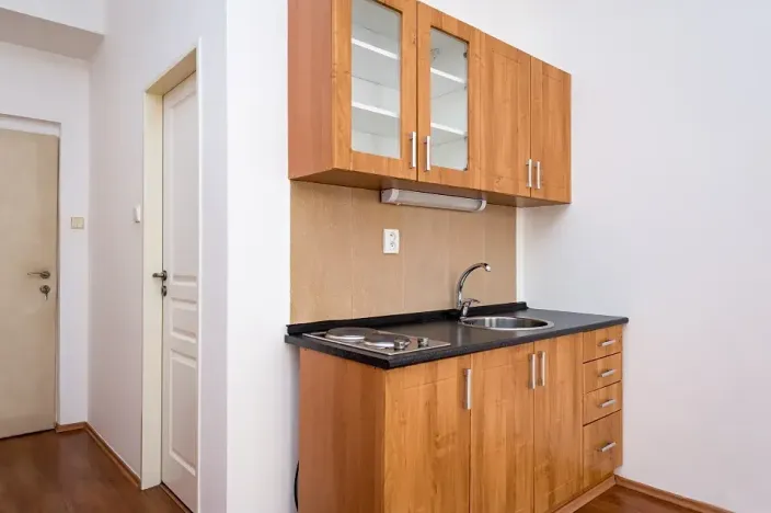 Pronájem bytu 1+kk, Praha - Žižkov, Vlkova, 25 m2