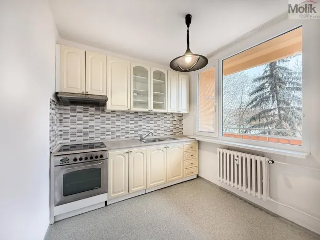 Pronájem bytu 2+1, Bílina - Pražské Předměstí, Aléská, 49 m2