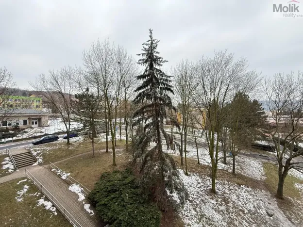 Pronájem bytu 2+1, Bílina - Pražské Předměstí, Aléská, 49 m2