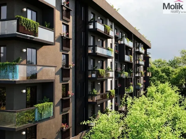 Prodej bytu 1+kk, Golem, 33 m2