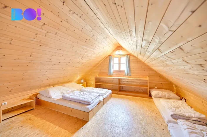 Prodej chalupy, Dolní Morava - Velká Morava, 157 m2