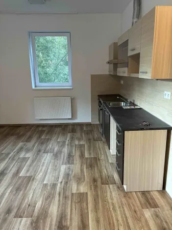 Pronájem bytu 4+kk, Břidličná, Lesy, 82 m2
