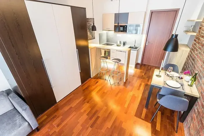 Pronájem bytu 1+kk, Praha - Nusle, Sekaninova, 31 m2