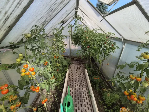 Prodej pozemku pro bydlení, Třinec - Lyžbice, 144 m2