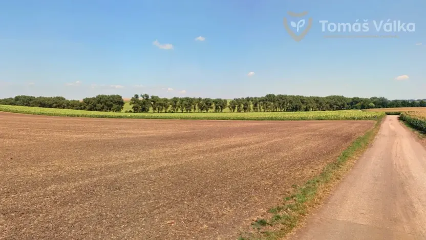 Prodej pole, Nikolčice, 10239 m2