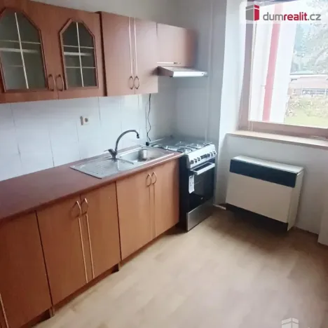 Pronájem bytu 1+1, Děčín - Děčín VI-Letná, Fibichova, 44 m2