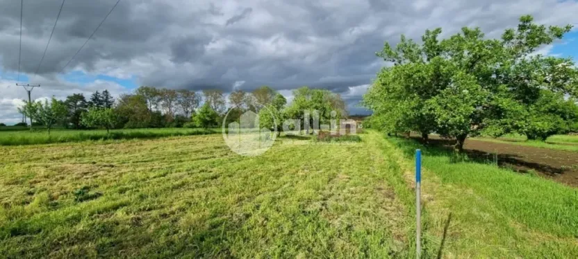 Prodej sadu/vinice, Tištín, 1062 m2