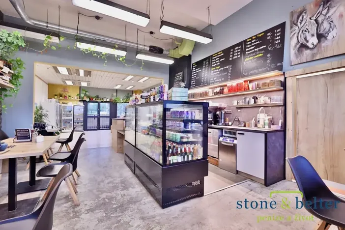 Pronájem obchodního prostoru, Praha - Troja, Lodžská, 254 m2