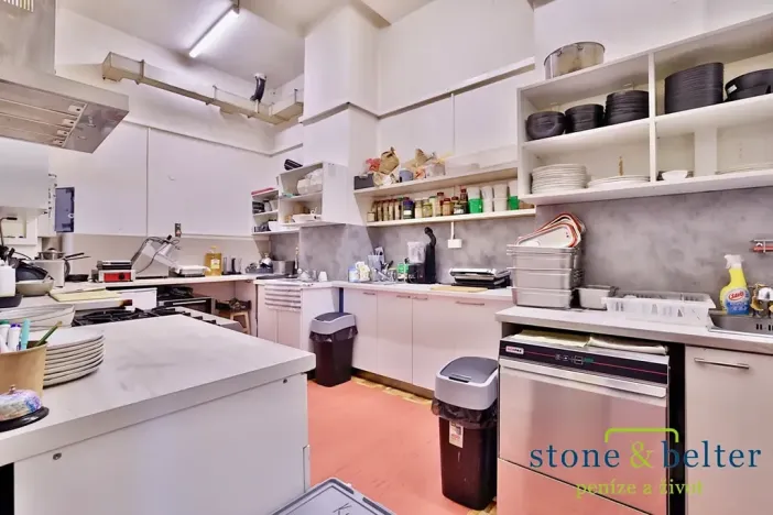 Prodej obchodního prostoru, Praha - Troja, Lodžská, 254 m2