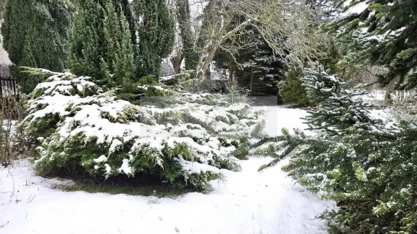 Prodej rodinného domu, Výrava, 246 m2