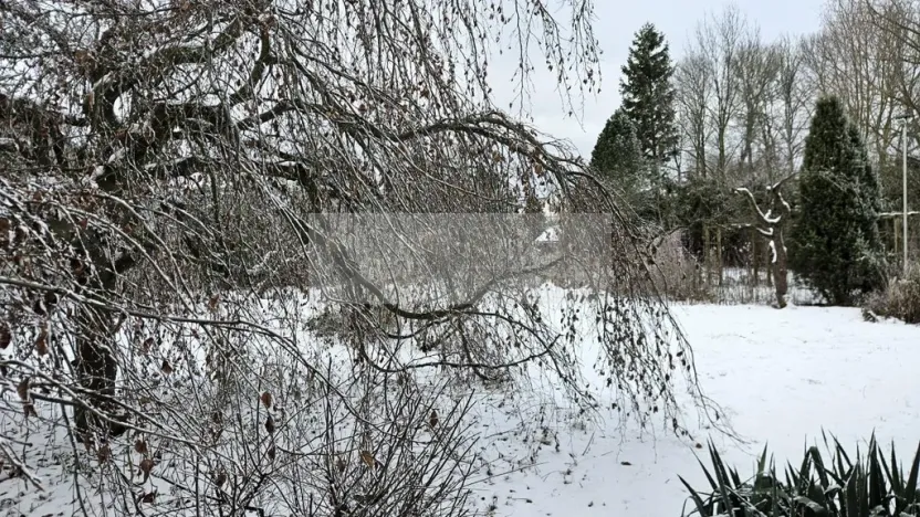 Prodej rodinného domu, Výrava, 246 m2