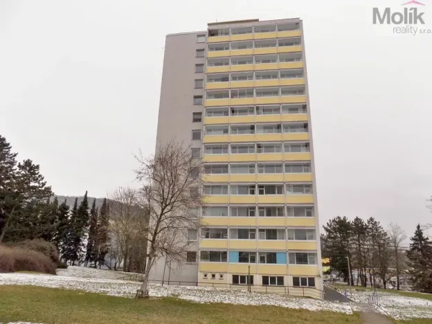 Prodej bytu 1+kk, Ústí nad Labem - Ústí nad Labem-centrum, Hoření, 21 m2