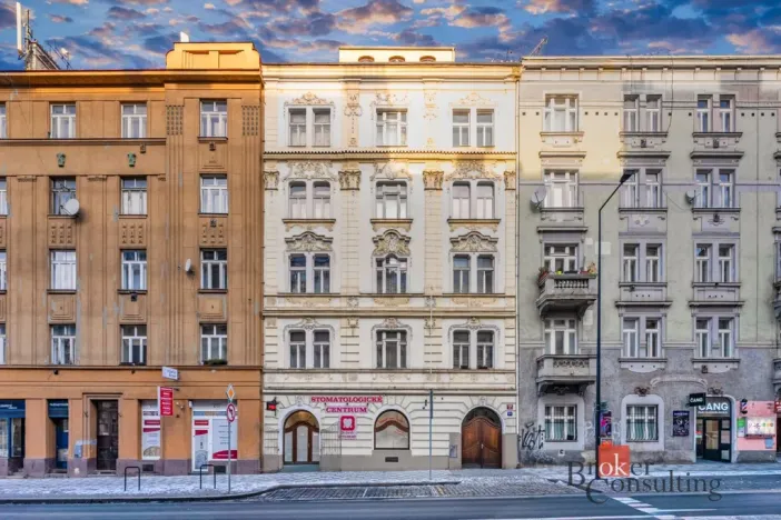 Prodej bytu 2+kk, Praha - Žižkov, Hartigova, 55 m2