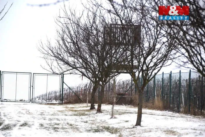 Prodej pole, Starý Poddvorov, 4096 m2