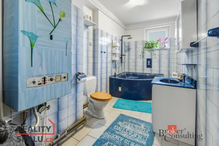 Prodej rodinného domu, Týniště nad Orlicí, V Sítinách, 395 m2