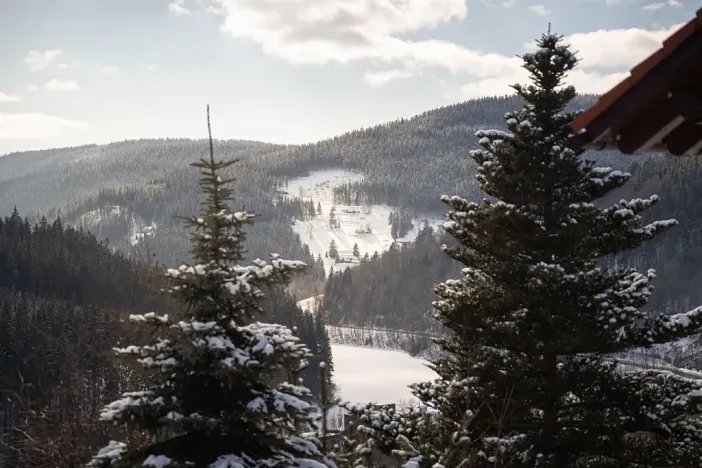 Prodej bytu 2+kk, Špindlerův Mlýn, Vodárenská, 41 m2