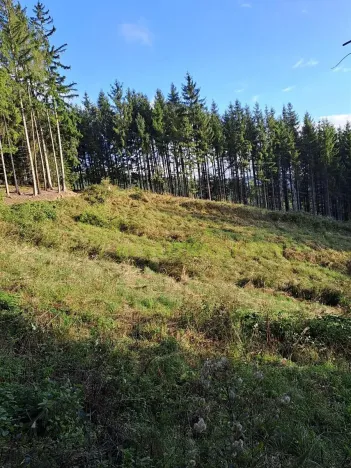 Prodej lesa, Zlín, 152613 m2