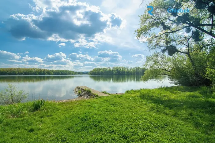 Prodej pozemku, Soběšovice, 7316 m2