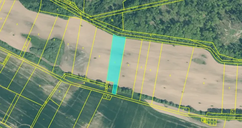 Dražba louky, Blatná, 11080 m2