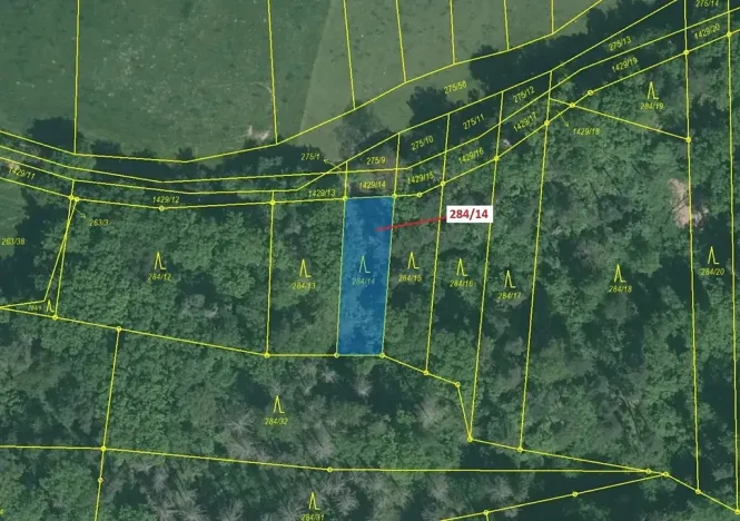 Dražba lesa, Milavče, 441 m2