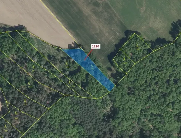 Dražba lesa, Náměšť nad Oslavou, 1128 m2