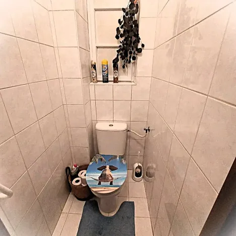 Pronájem bytu 2+1, Strakonice, Žižkova, 74 m2