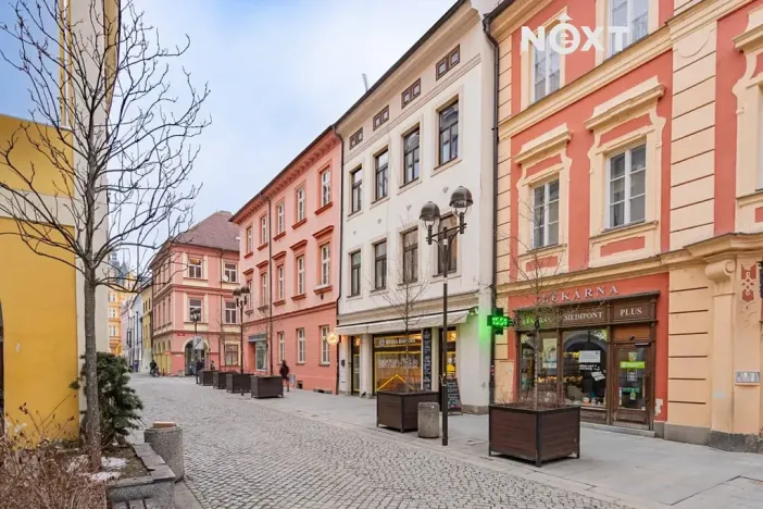 Prodej bytu 2+kk, České Budějovice, Dr. Stejskala, 77 m2