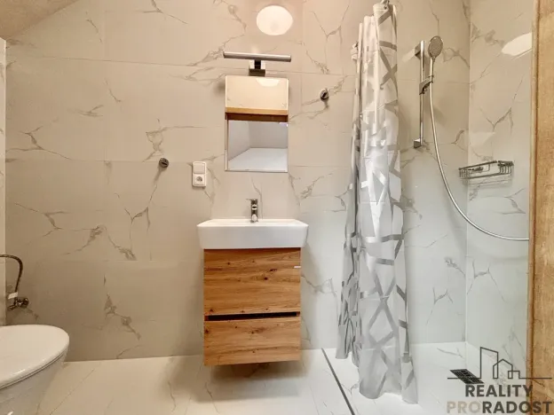 Pronájem apartmánu, Olšany u Prostějova - Hablov, 247 m2