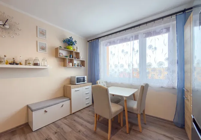 Pronájem bytu 1+1, Jirkov, SNP, 39 m2