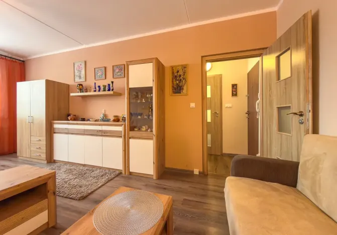 Pronájem bytu 1+1, Jirkov, SNP, 39 m2