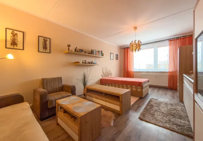 Pronájem bytu 1+1, Jirkov, SNP, 39 m2