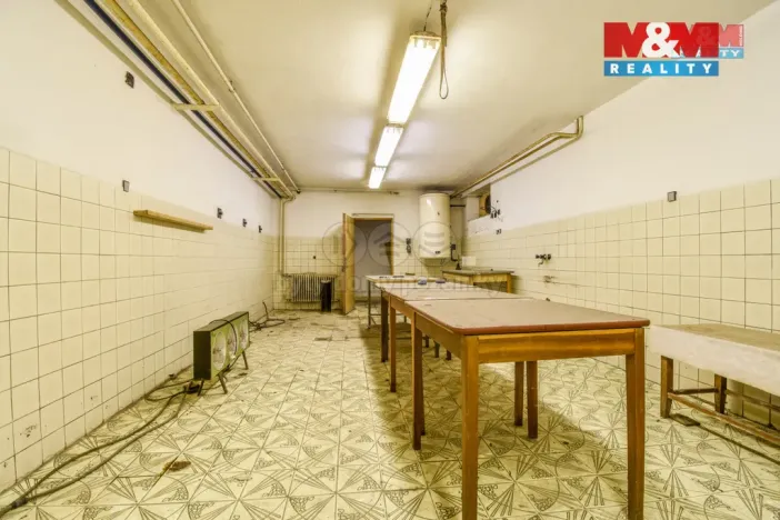 Prodej obchodního prostoru, Bílovec - Lubojaty, 500 m2