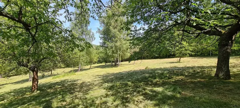 Prodej pozemku pro bydlení, Vlachovo Březí, 16463 m2