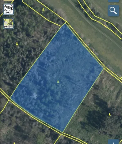 Prodej lesa, Kropáčova Vrutice - Sušno, 15167 m2