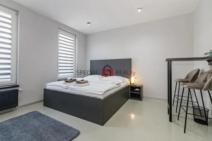 Prodej ubytování, Ostrava, 17. listopadu, 138 m2