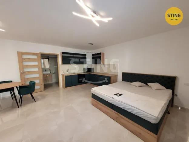 Pronájem bytu 1+kk, Ostrava, Na Lánech, 41 m2