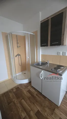 Prodej bytu 1+kk, Opava - Předměstí, Haškova, 14 m2