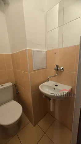 Prodej bytu 1+kk, Opava - Předměstí, Haškova, 14 m2