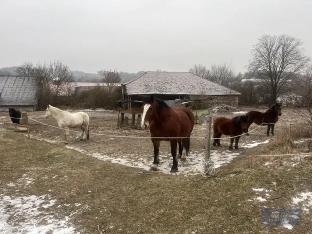 Prodej pole, Pavlov, 2020000 m2