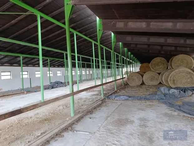 Prodej pole, Pavlov, 2020000 m2