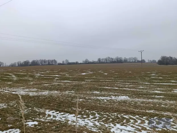 Prodej komerčního pozemku, Pavlov, 2020000 m2