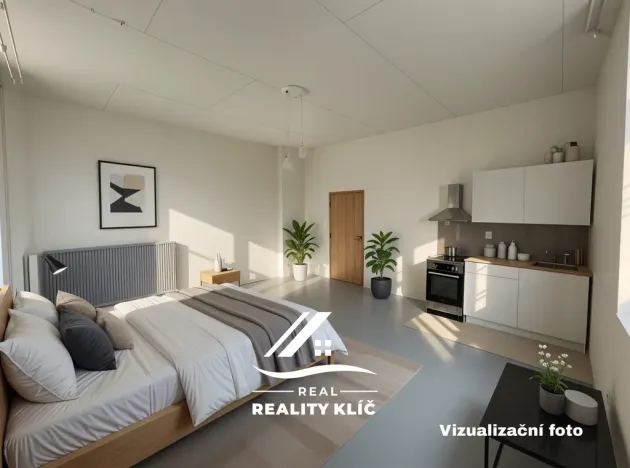 Pronájem bytu 1+kk, Ostrava, Stará cesta, 37 m2