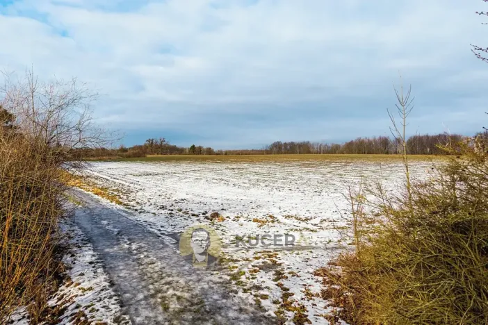 Prodej pozemku pro bydlení, Česká Skalice, 30928 m2