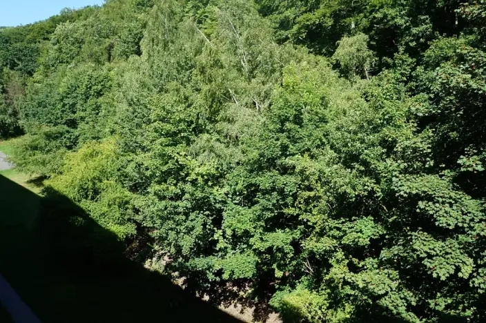 Prodej bytu 3+1, Litvínov, Luční, 90 m2