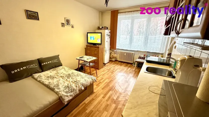 Prodej bytu 1+kk, Přerov, Želatovská, 21 m2