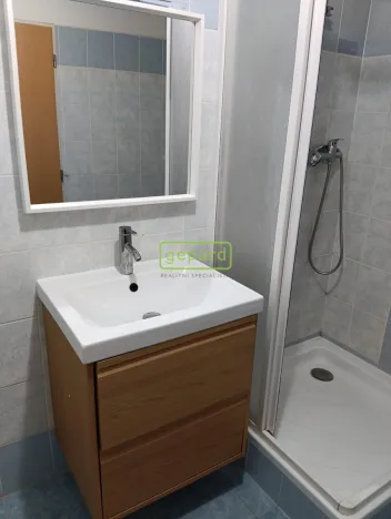 Pronájem bytu 1+1, Praha, Herlíkovická, 43 m2