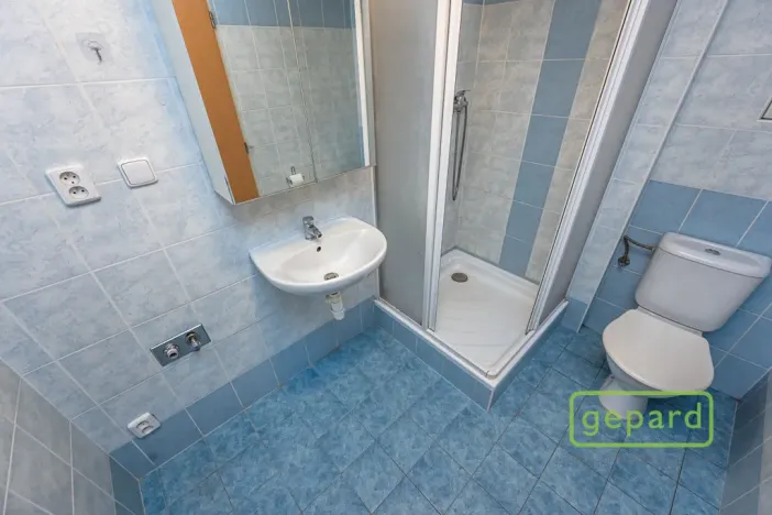 Pronájem bytu 1+kk, Praha, Herlíkovická, 43 m2