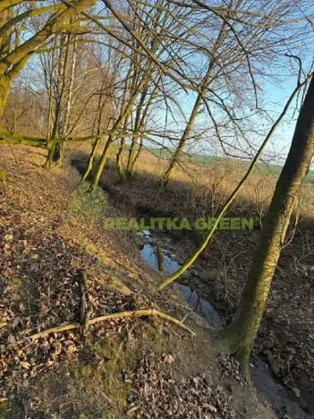 Prodej lesa, Jistebník, 5452 m2