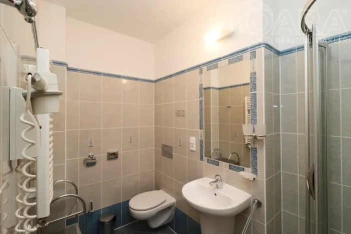 Pronájem bytu 1+kk, Praha - Vinohrady, Balbínova, 24 m2